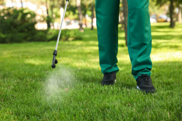 Insect Control in Preston Heights, IL