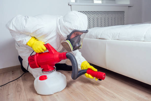 Best Cockroach Control Services  in Preston Heights, IL