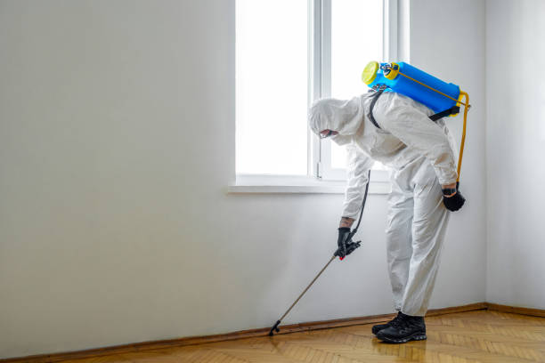 Best Commercial Pest Control Services  in Preston Heights, IL
