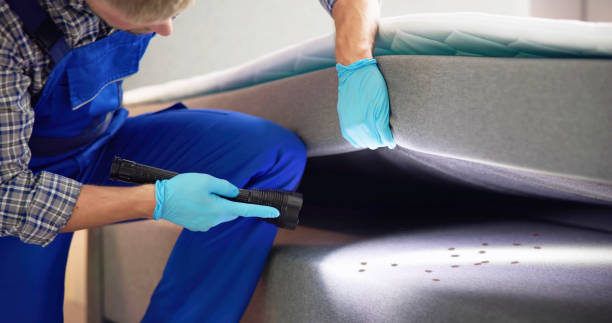 Best Best Pest Control Companies  in Preston Heights, IL