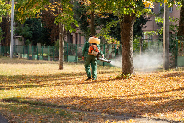 Best Pest Control Near Me  in Preston Heights, IL