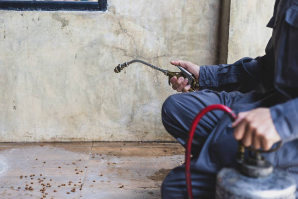 Best Flea Control Services  in Preston Heights, IL
